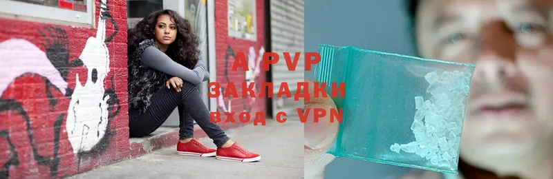 A-PVP СК  Зеленоградск 